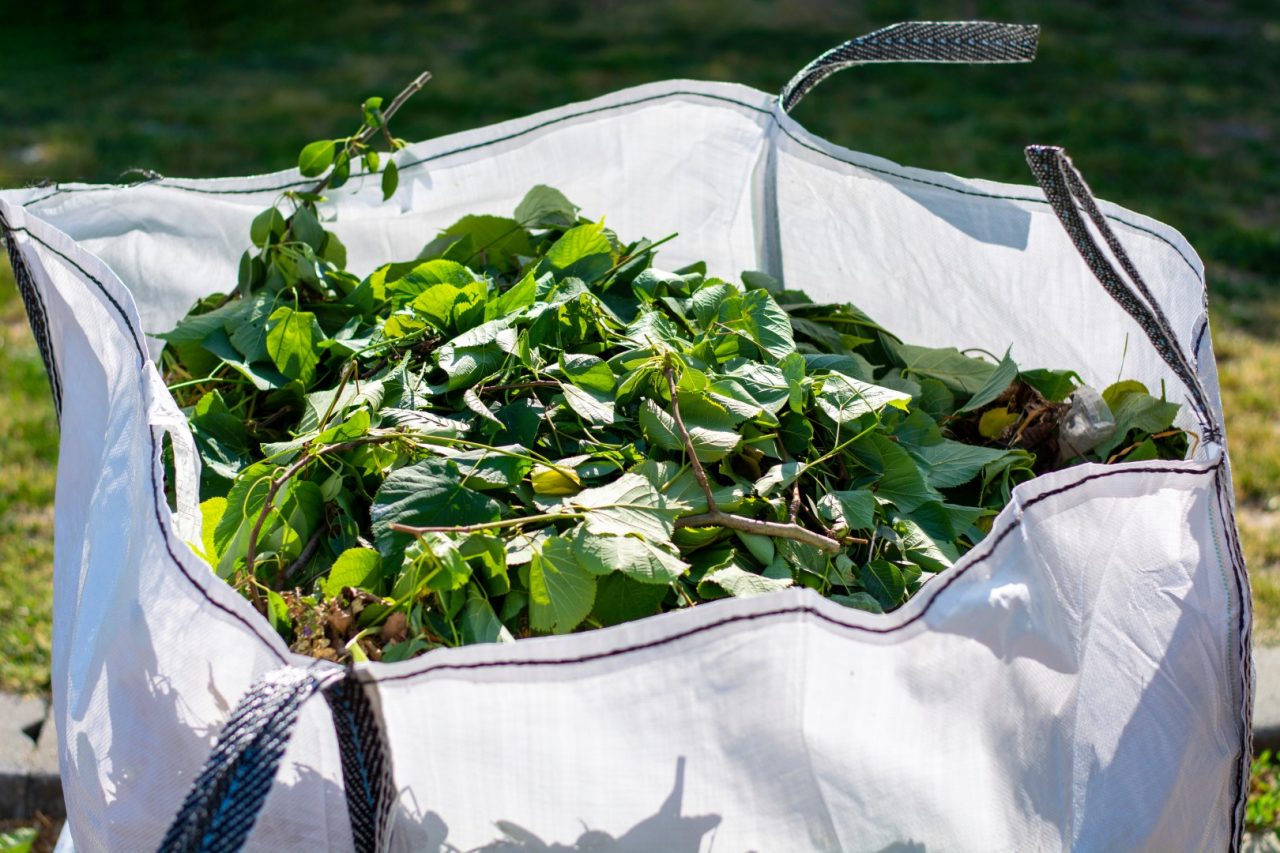 Large white rental bag with organic green garden waste.